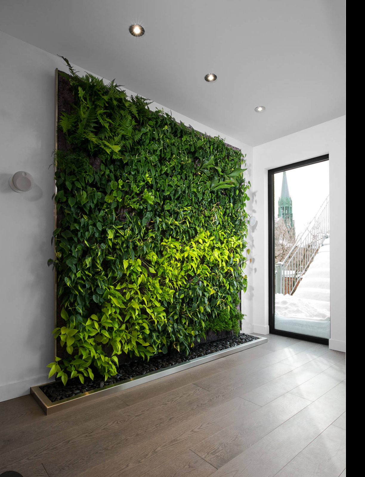 Miroir et végétal — jeu de lumière